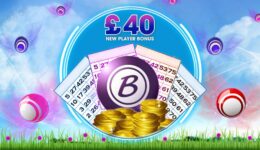 Bingo promo banner